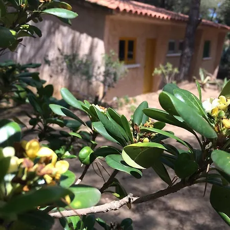 假日公园 Air Sport Soleil *