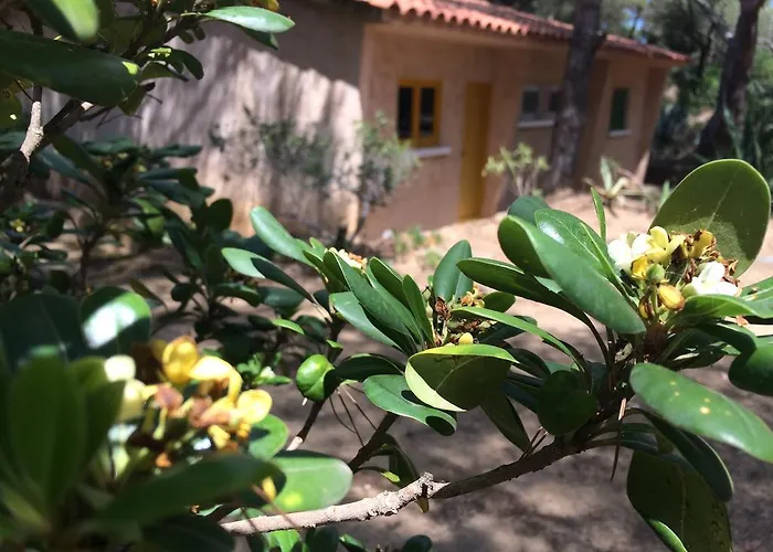 Semesterpark Air Sport Soleil *